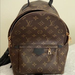 Louis Vuitton “Monogram Canvas Palm Springs Mini Backpack Bag”